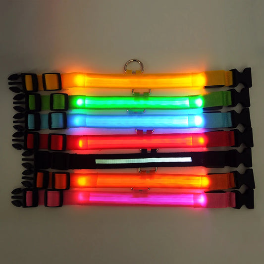 YUDODO-Colliers LED Fluorescents en Nylon pour Animaux de Compagnie, Sécurité Nocturne, Clignotant, Lueur, Laisse, Shoes, Fournitures