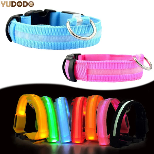 YUDODO-Colliers LED Fluorescents en Nylon pour Animaux de Compagnie, Sécurité Nocturne, Clignotant, Lueur, Laisse, Shoes, Fournitures