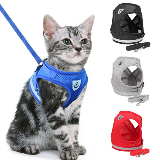 Ensemble de Laisse et Maille en Nylon pour Chat et Chiot, Vêtements pour Animaux de Compagnie, pour Petits Chiens, SARL, PDPP