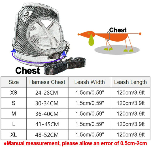 Ensemble de Laisse et Maille en Nylon pour Chat et Chiot, Vêtements pour Animaux de Compagnie, pour Petits Chiens, SARL, PDPP